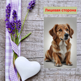 Мини открытка - карточка "Милый Бастер", бирка для подарков, односторонние, 20 шт