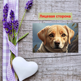 Мини открытка - карточка "Милый лабрадор", бирка для подарков, односторонние, 20 шт