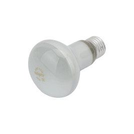 Лампочка накаливания R63 40W E27 220V