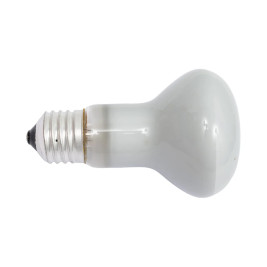 Лампочка накаливания R63 60W E27 220V