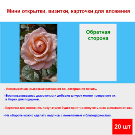 Мини открытка - карточка "Бутон, чайной розовой розы", бирка для подарков, односторонние, 20 шт