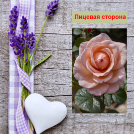 Мини открытка - карточка "Бутон, чайной розовой розы", бирка для подарков, односторонние, 20 шт