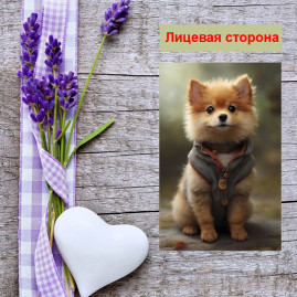 Мини открытка - карточка "Собачка в жилетке", бирка для подарков, односторонние, 20 шт