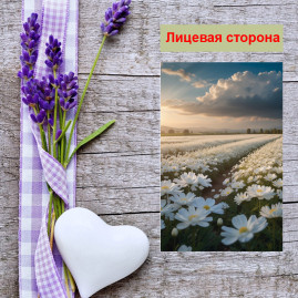 Мини открытка - карточка "Поле с белыми ромашками", бирка для подарков, односторонние, 20 шт