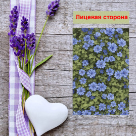 Мини открытка - карточка "Куст с голубыми цветами ", бирка для подарков, односторонние, 20 шт