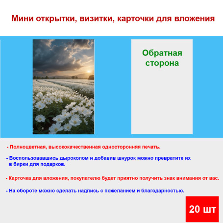 Мини открытка - карточка "Ромашки в поле", бирка для подарков, односторонние, 20 шт - Артикул 210160