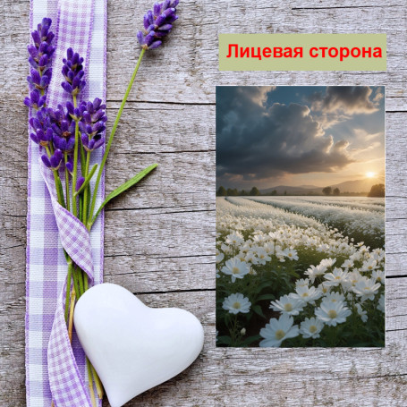 Мини открытка - карточка "Ромашки в поле", бирка для подарков, односторонние, 20 шт - Артикул 210160