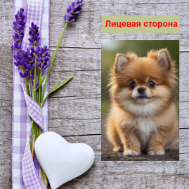 Мини открытка - карточка "Рыжий милый пёс", бирка для подарков, односторонние, 20 шт