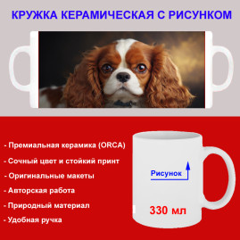 Кружка премиум с принтом "Милый кавалер кинг чарльз спаниель", авторский дизайн, 330 мл, белая, Orca, 1 шт, 200099
