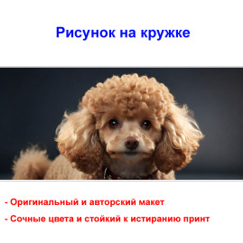 Кружка премиум с принтом "Модный пудель", авторский дизайн, 330 мл, белая, Orca, 1 шт, 200104