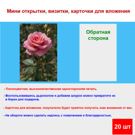 Мини открытка - карточка "Чайная, розовая роза", бирка для подарков, односторонние, 20 шт
