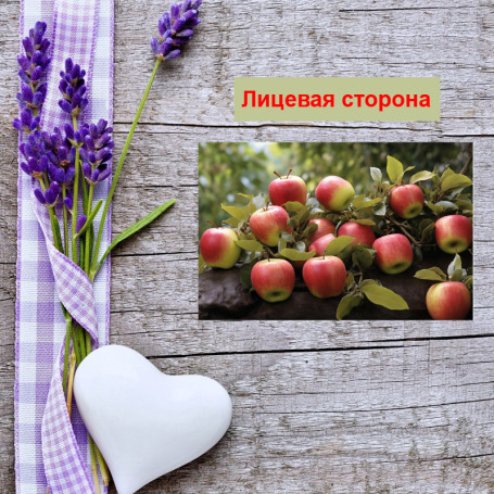 Мини открытка - карточка "Красные яблочки", бирка для подарков, односторонние, 20 шт - Артикул 210126