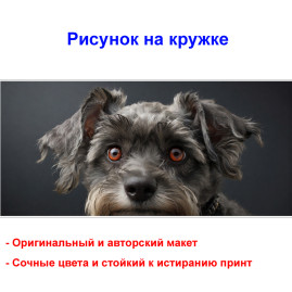 Кружка премиум с принтом "Мордочка цвергшнауцера", авторский дизайн, 330 мл, белая, Orca, 1 шт, 200124