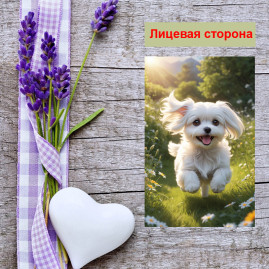 Мини открытка - карточка "Белая мальтийская собака", бирка для подарков, односторонние, 20 шт