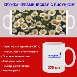 Кружка премиум с принтом "Ромашки", авторский дизайн, 330 мл, белая, Orca, 1 шт, 200037