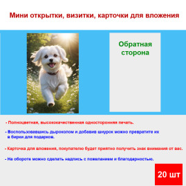 Мини открытка - карточка "Мальтийская собака", бирка для подарков, односторонние, 20 шт