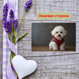 Мини открытка - карточка "Белый пес в красном костюме", бирка для подарков, односторонние, 20 шт