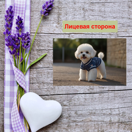 Мини открытка - карточка "Белый пес в синем костюме", бирка для подарков, односторонние, 20 шт - Артикул 210136