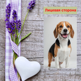 Мини открытка - карточка "Бигль в стойке", бирка для подарков, односторонние, 20 шт